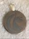 Tachyon Pendant Stainless Steel, Moon Fairy